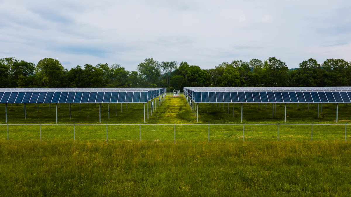 Top Solar Bug Zappers Reviewed for 2025