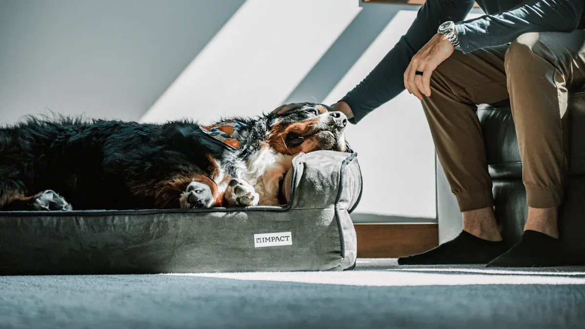Health Benefits of Elevated Dog Beds