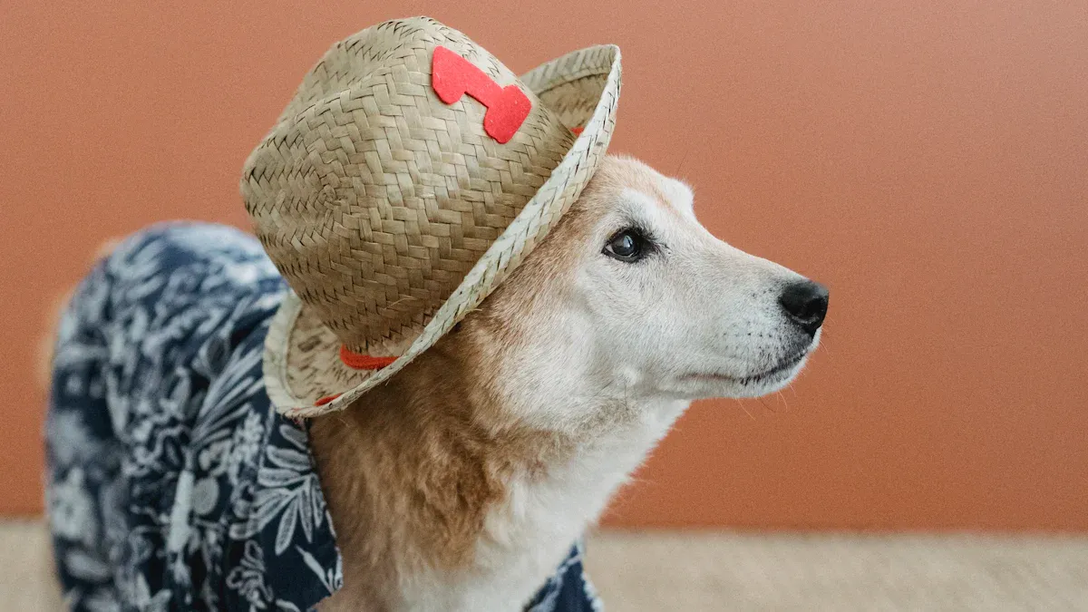 Implementing Dog Apparel to Drive Sales and Loyalty