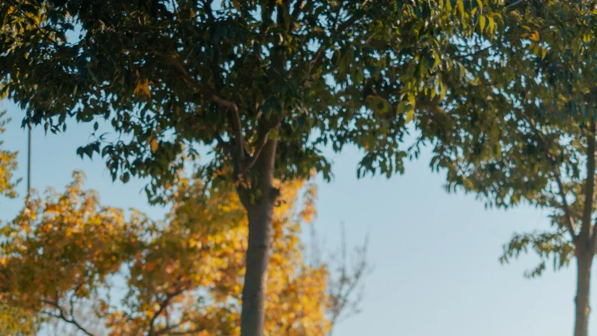 Yoga Mat Environmental Impact