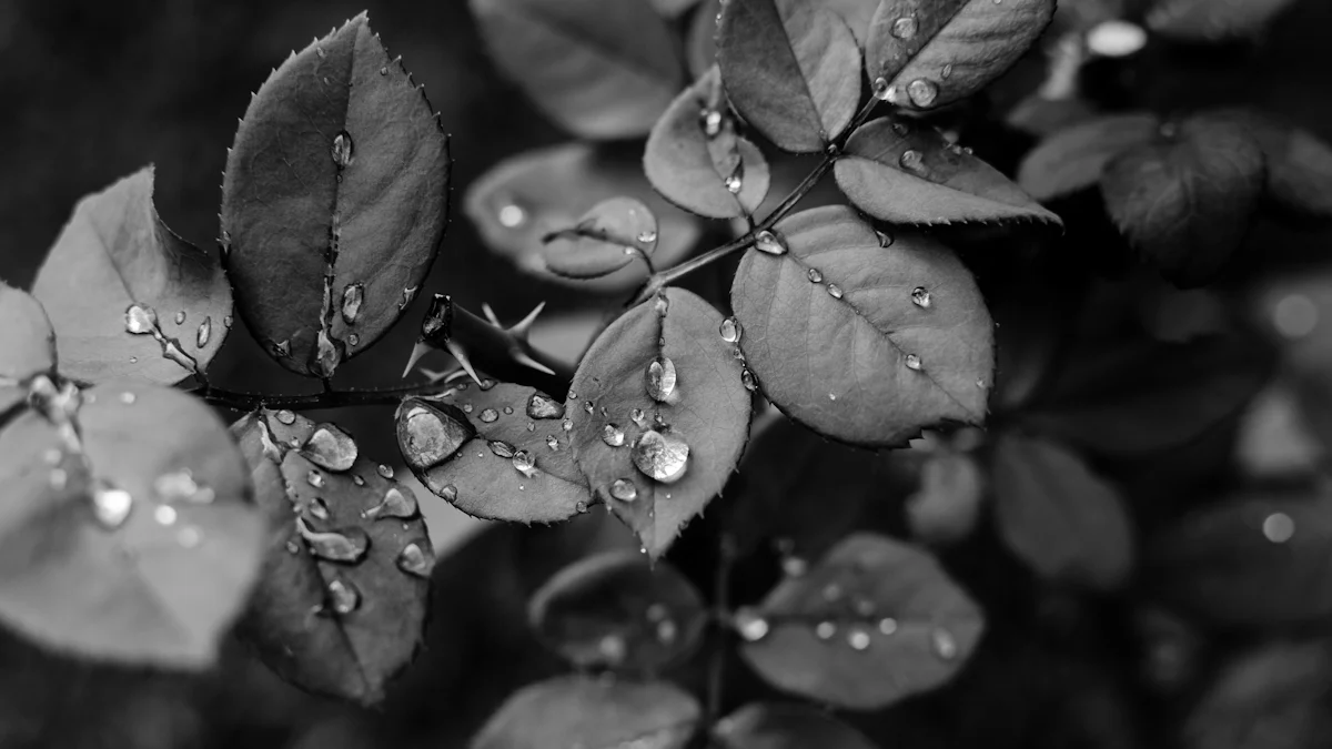 What Are Wetting Agents?