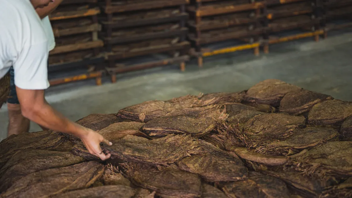 Hydroponic Channels vs. Substrate Culture: Which Is Better?