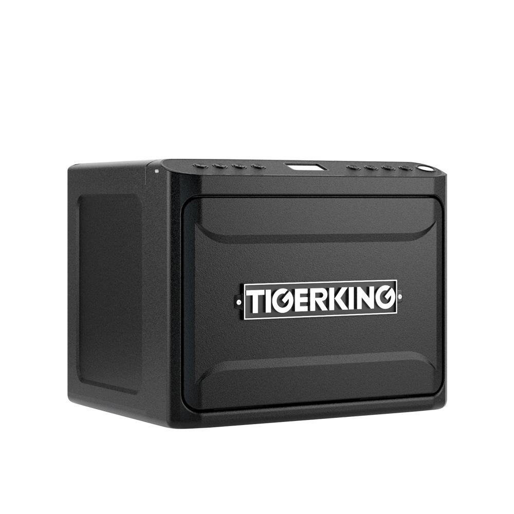 Key Features of a Biometric Jewelry Pistol Safe