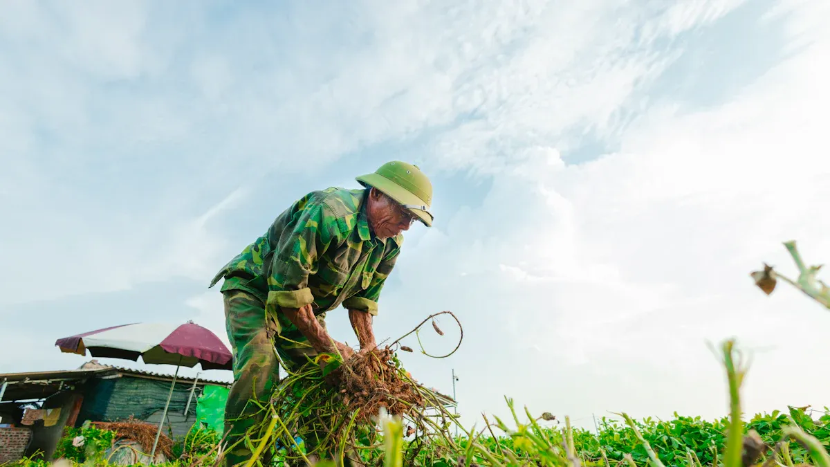 Understanding Trimmer Line Types for Better Yard Care