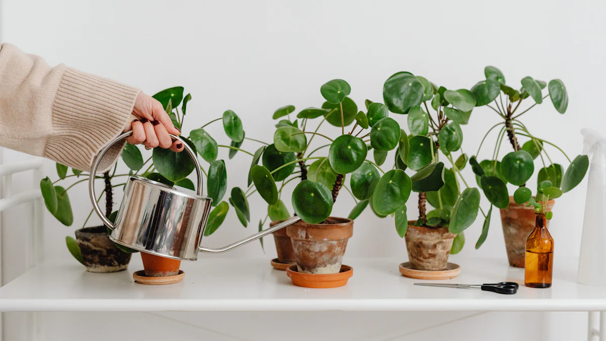 8 bhan-ealaíontóir luibheolaíochta as gach cearn den Eoraip | Europeana, image size:1200x675