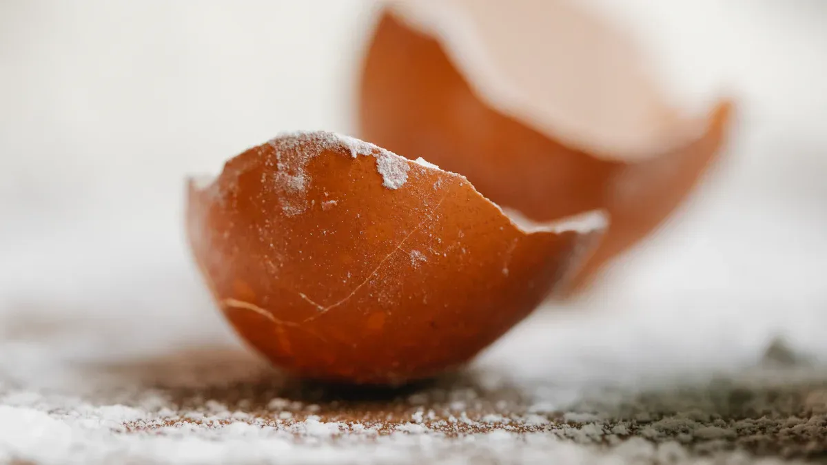 Dried Mealworms and Eggshell Quality