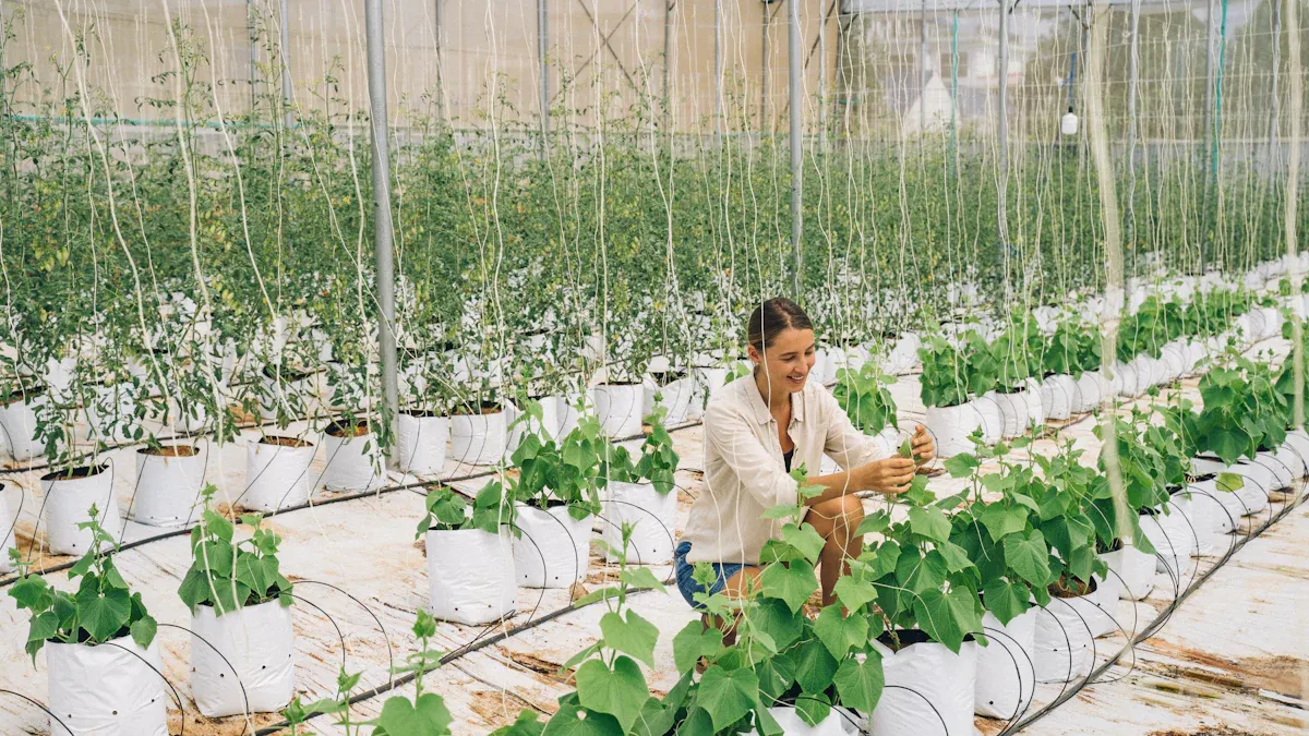 China's Smart Greenhouse System Landscape in 2026