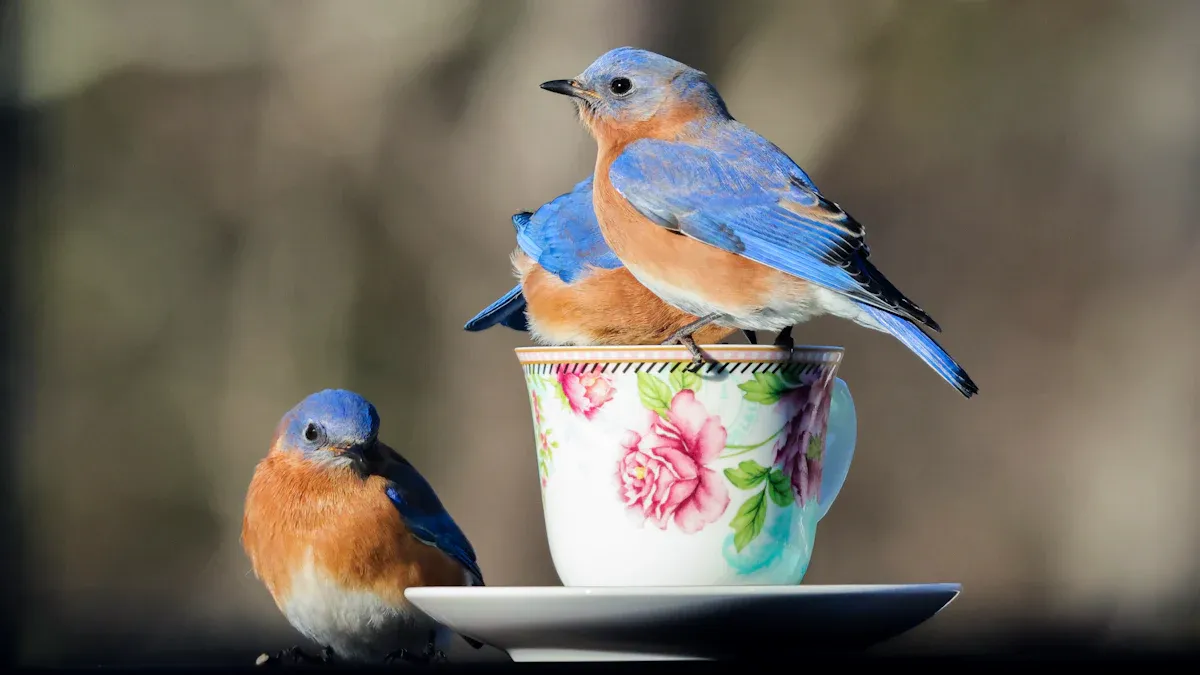 How to Attract Bluebirds with Dried Mealworms in 2025