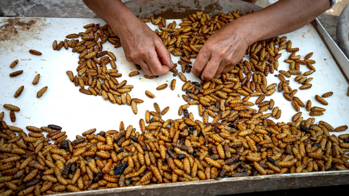 Preparing Mealworms for Cooking