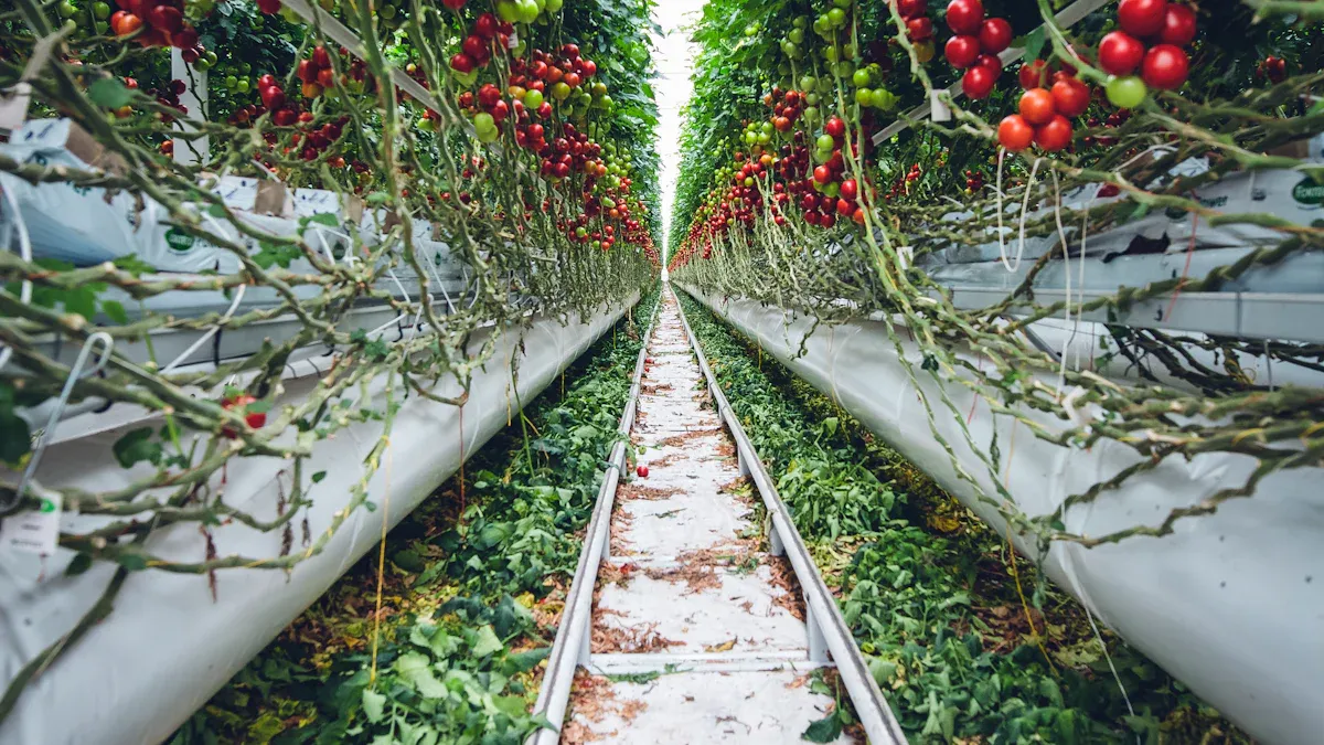 How the Hanging Strawberry System Works
