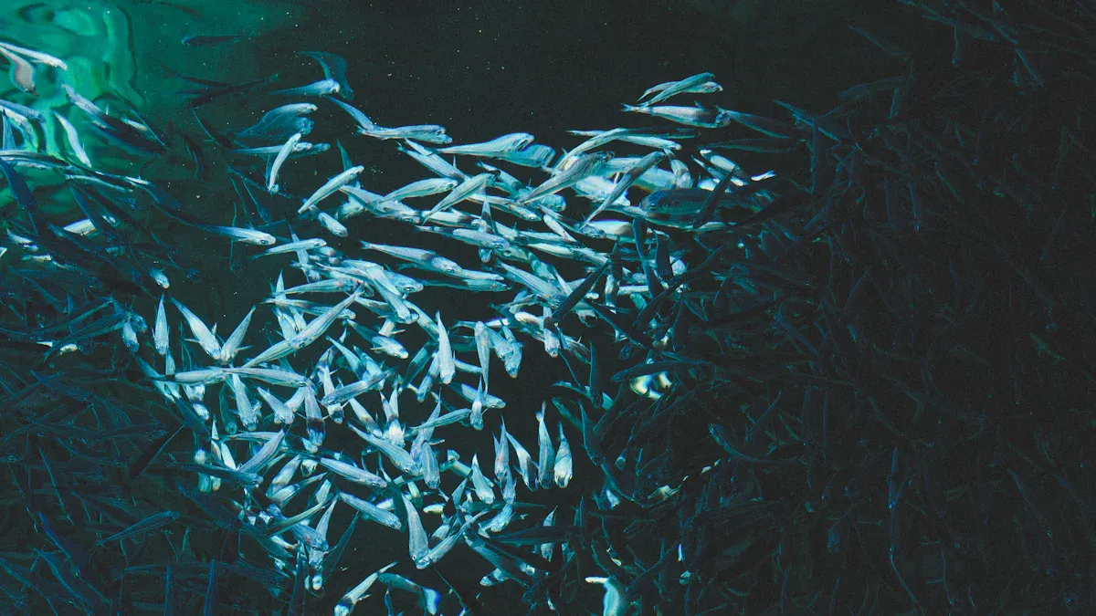 Overexploitation in Fish Meal Production Systems