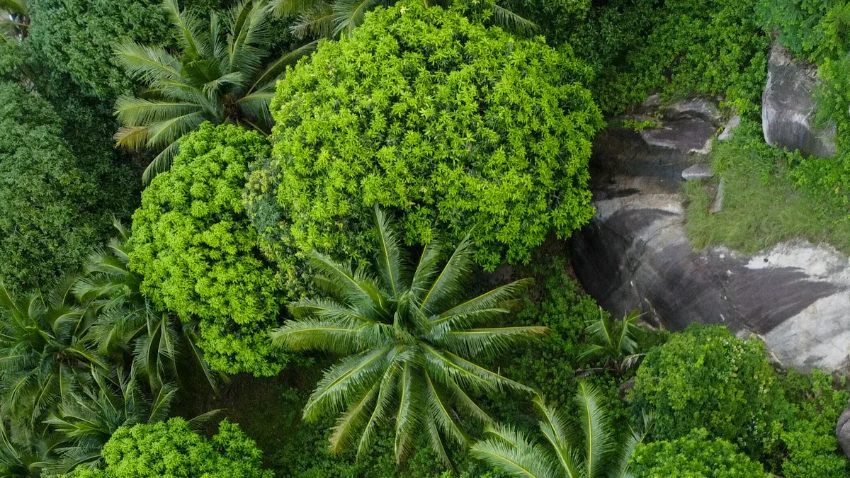 Environmental Benefits of Green Fabrics