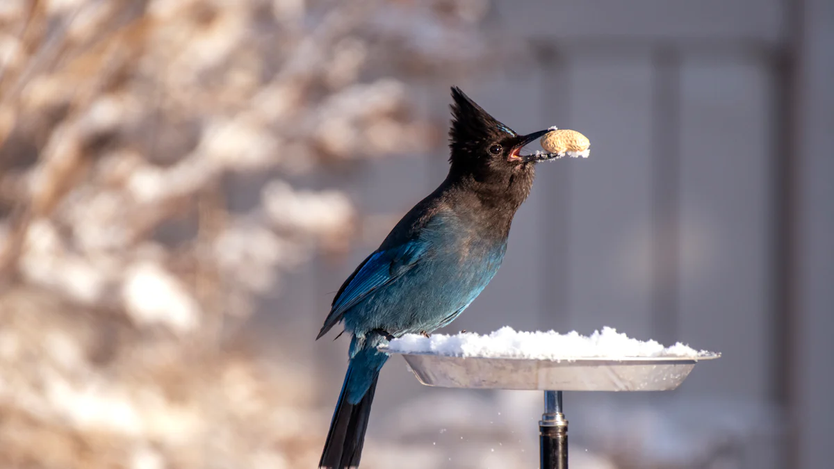 Choosing Feeders for Dried Mealworms