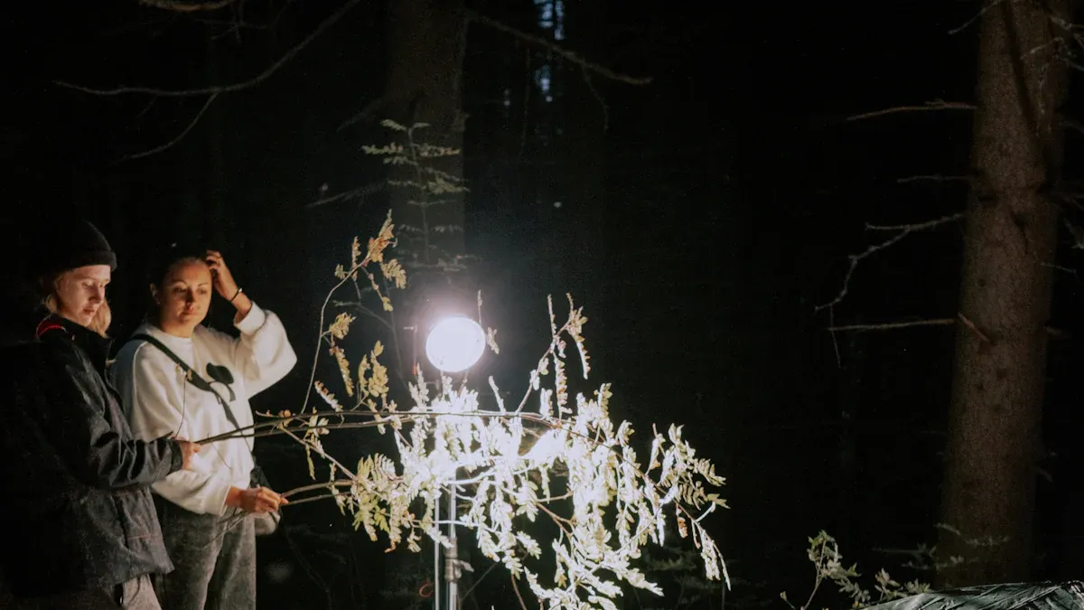 The Best Budget Camping Lights for Outdoor Enthusiasts