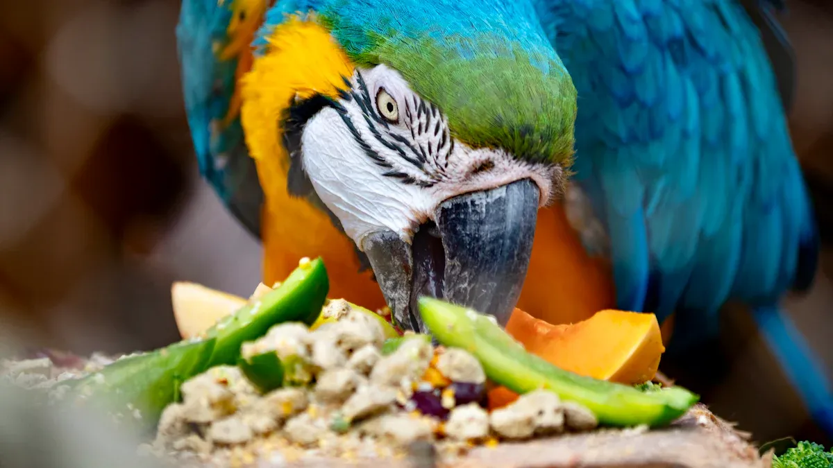 Discover the Benefits of Mealworms for Parrot Diets