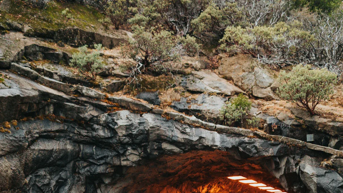 สถานีรับแจ้งเหตุฉุกเฉิน: ส่วนประกอบสำคัญสำหรับโครงสร้างพื้นฐานด้านความปลอดภัยบนทางหลวงและอุโมงค์สมัยใหม่