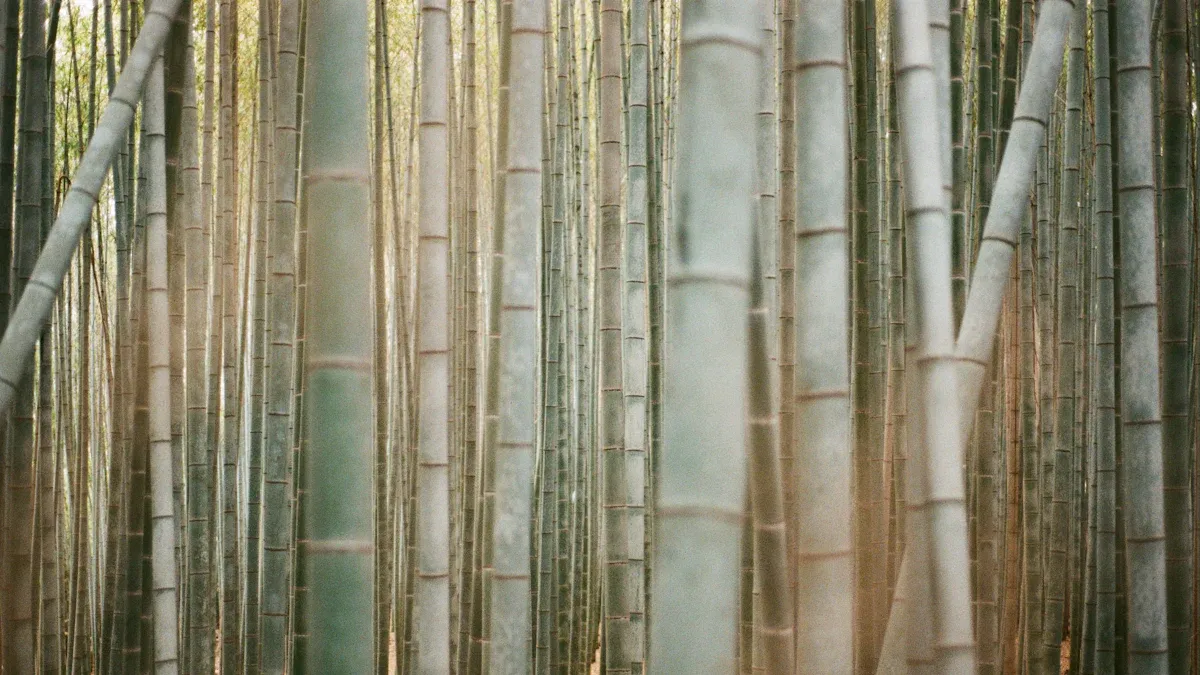 Sustainability of Bamboo Fiber T-Shirts