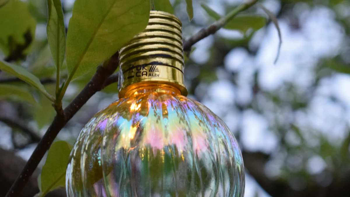 How to Choose the Best Solar Path Lights