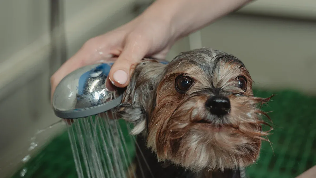 আপোনাৰ বাথৰুমত আপুনি ভবাতকৈ বেছি হেণ্ড শ্বাৱাৰৰ প্ৰয়োজন কিয়