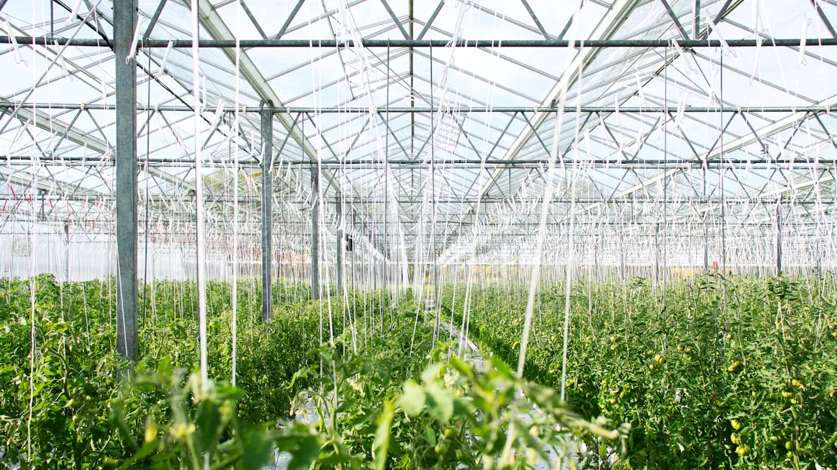 Greenhouse Farming Overview