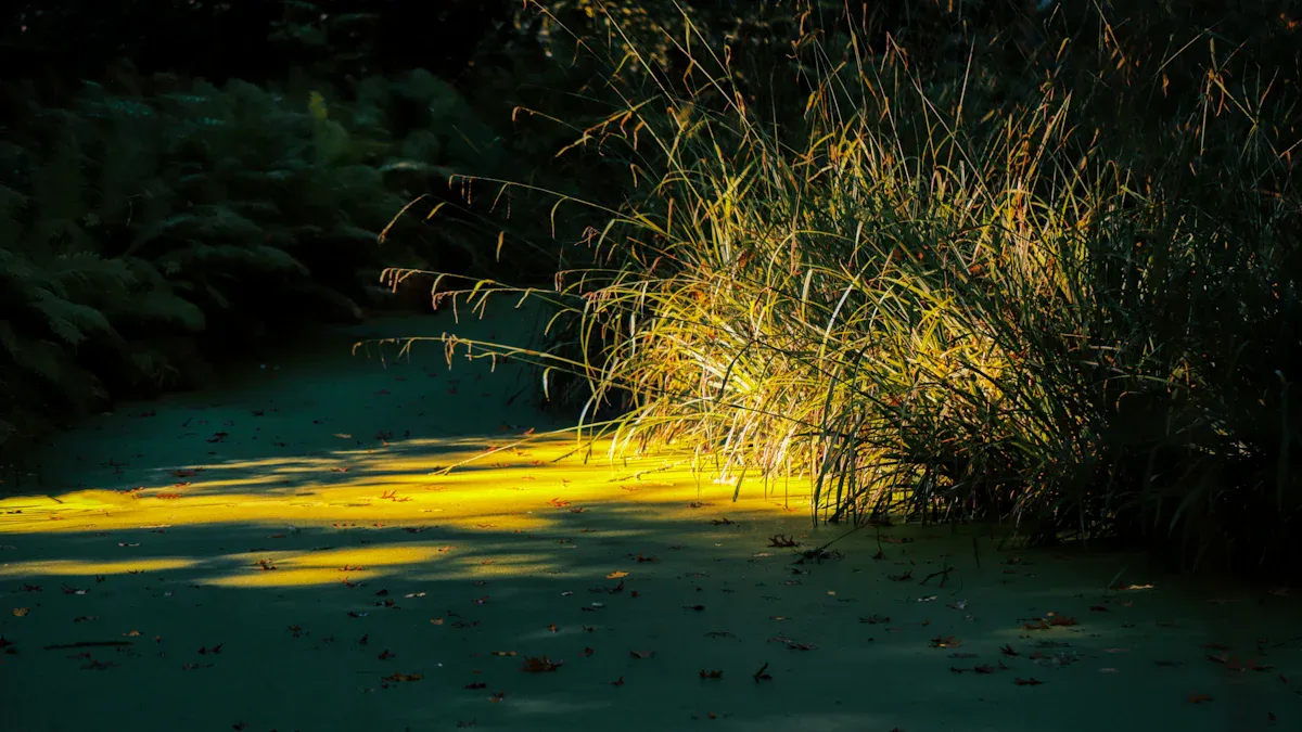 Transforming the Atmosphere with Floating Solar Lights