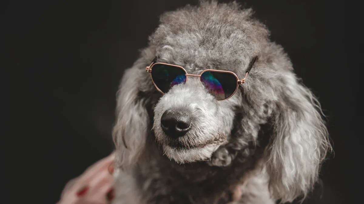 Dog Apparel Product Trends for 2025