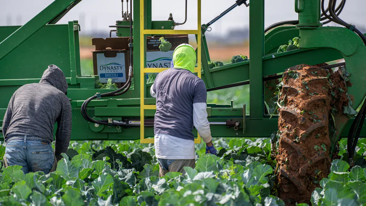 Must-Have Hydroponic Equipment