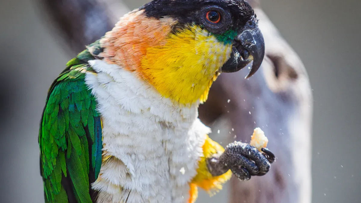 What Makes Dried Mealworms Essential for Parrot Diets in 2025