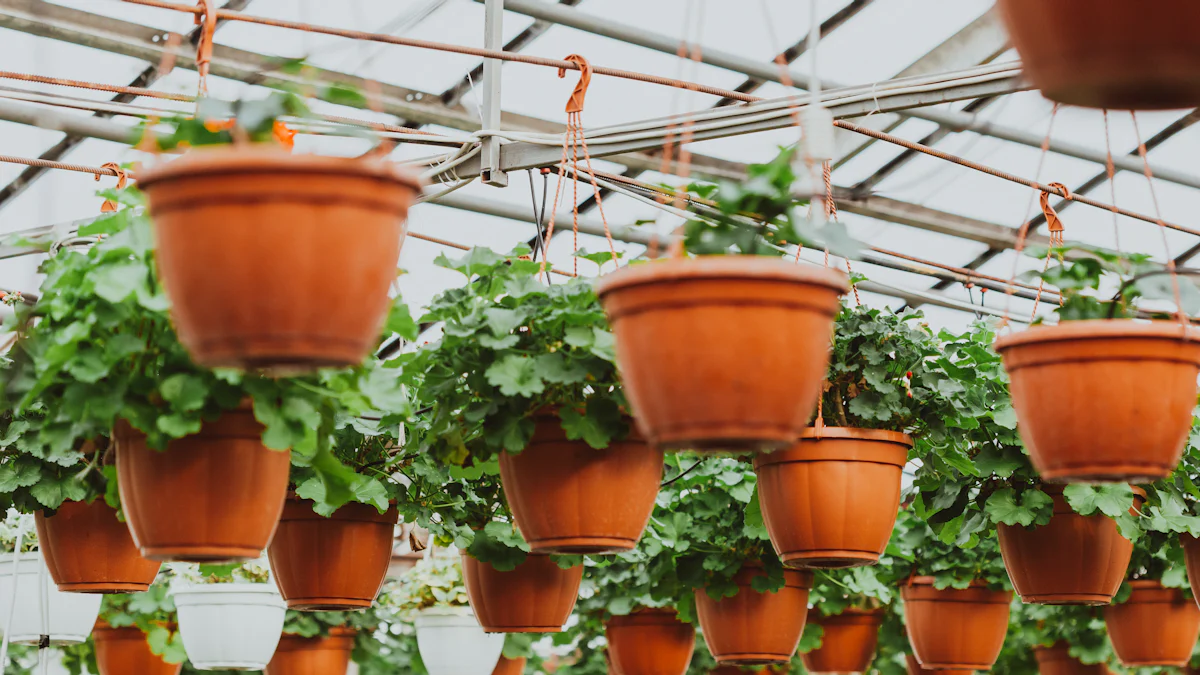 What to Consider When Choosing Greenhouse Plant Pots - Miilkiia