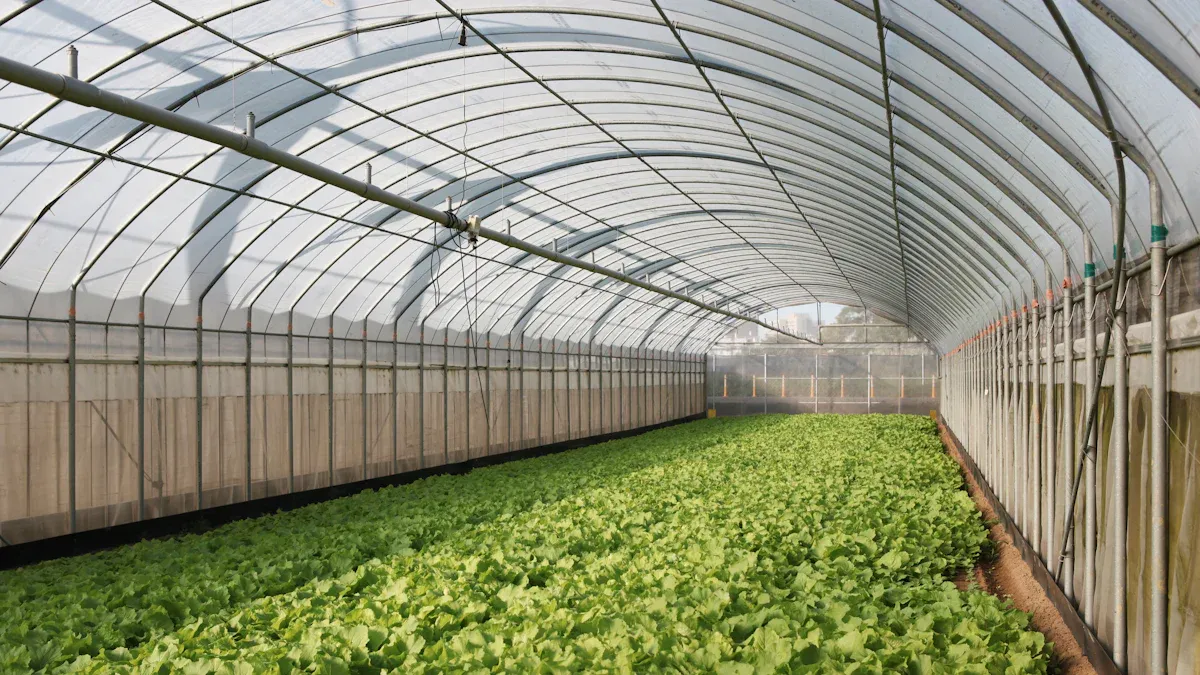 Greenhouse vs. Vertical Farming: What’s Best for Your Agribusiness?
