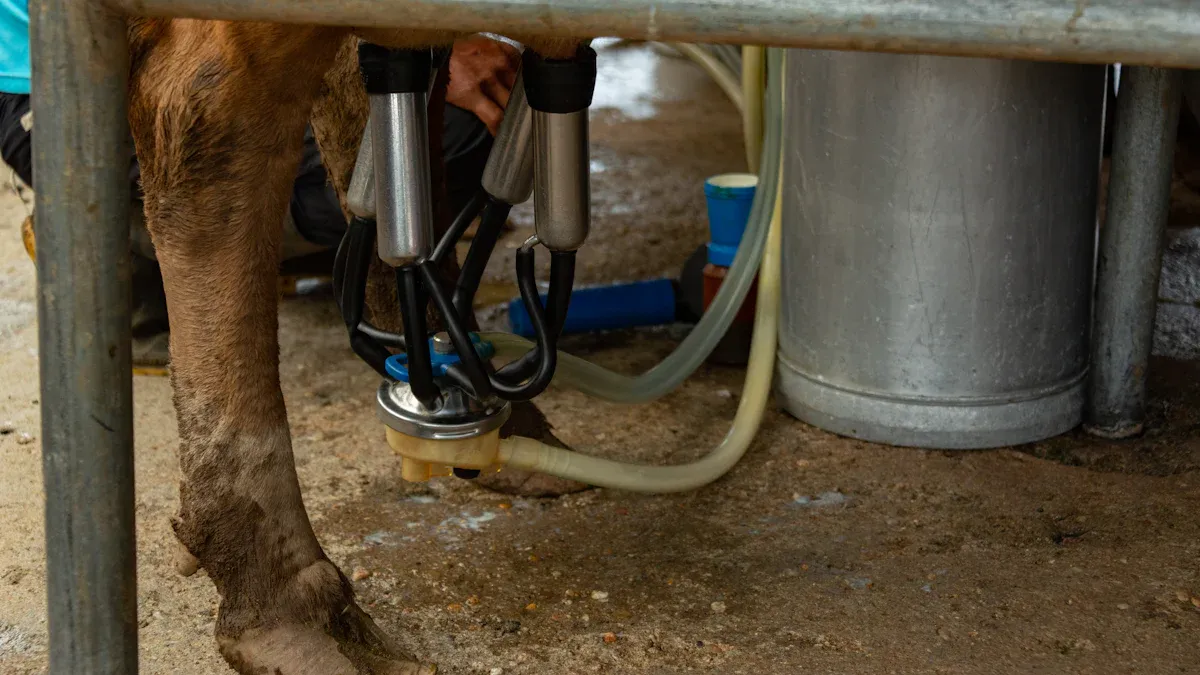 From Farm to Clinic: A Buyer's Guide to Veterinary-Grade AI Equipment