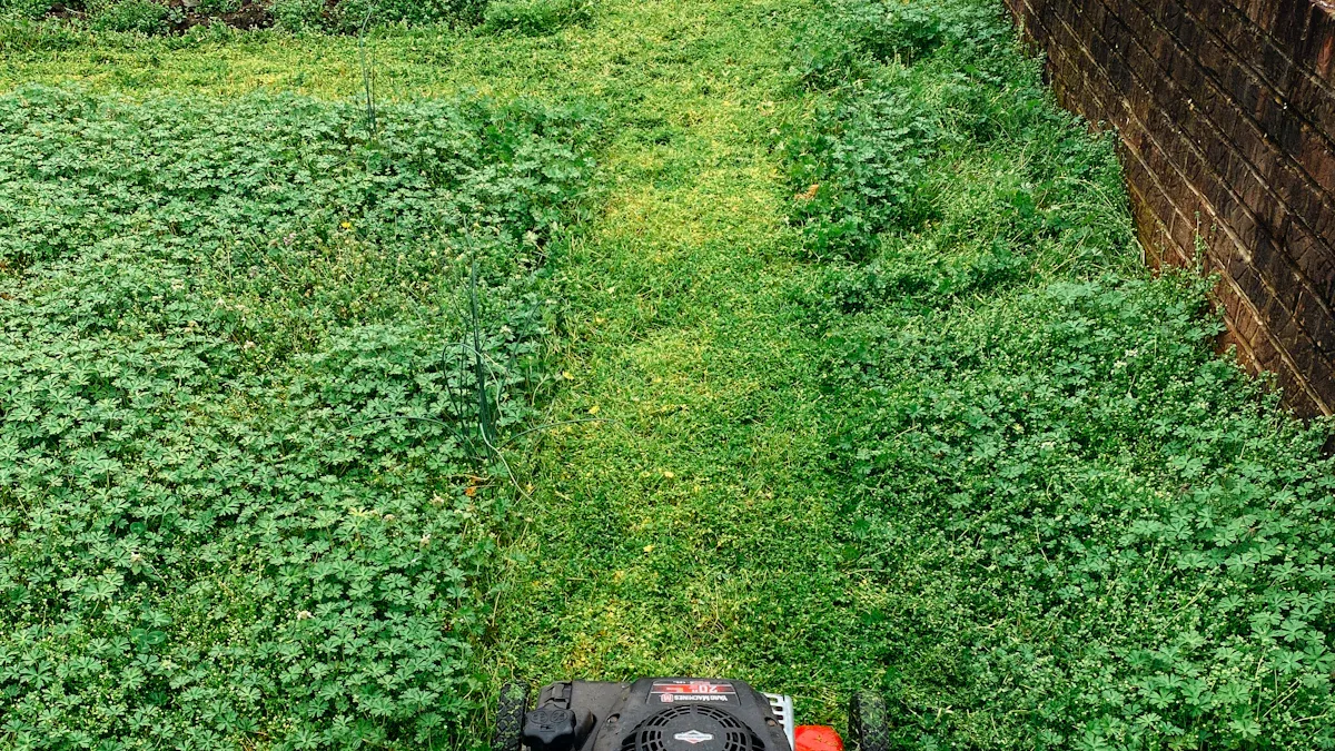 Explore Different Trimmer Line Types for 2025