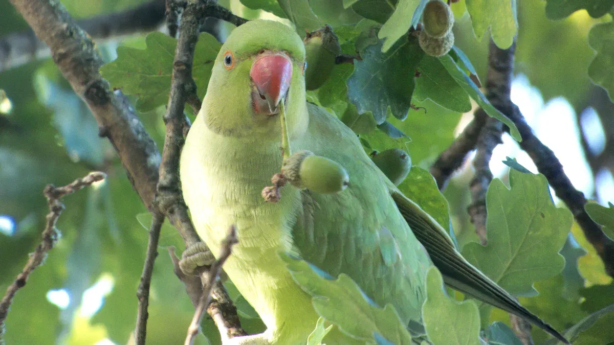 Are Dried Mealworms Safe for Your Parrot's Diet