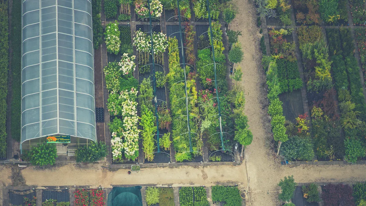 Types of Greenhouse Structures