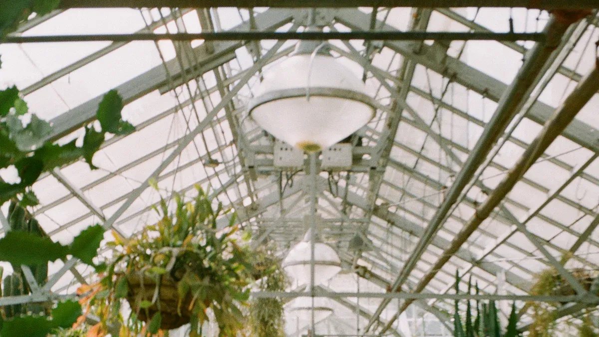 Selecting the Right Greenhouse Structure