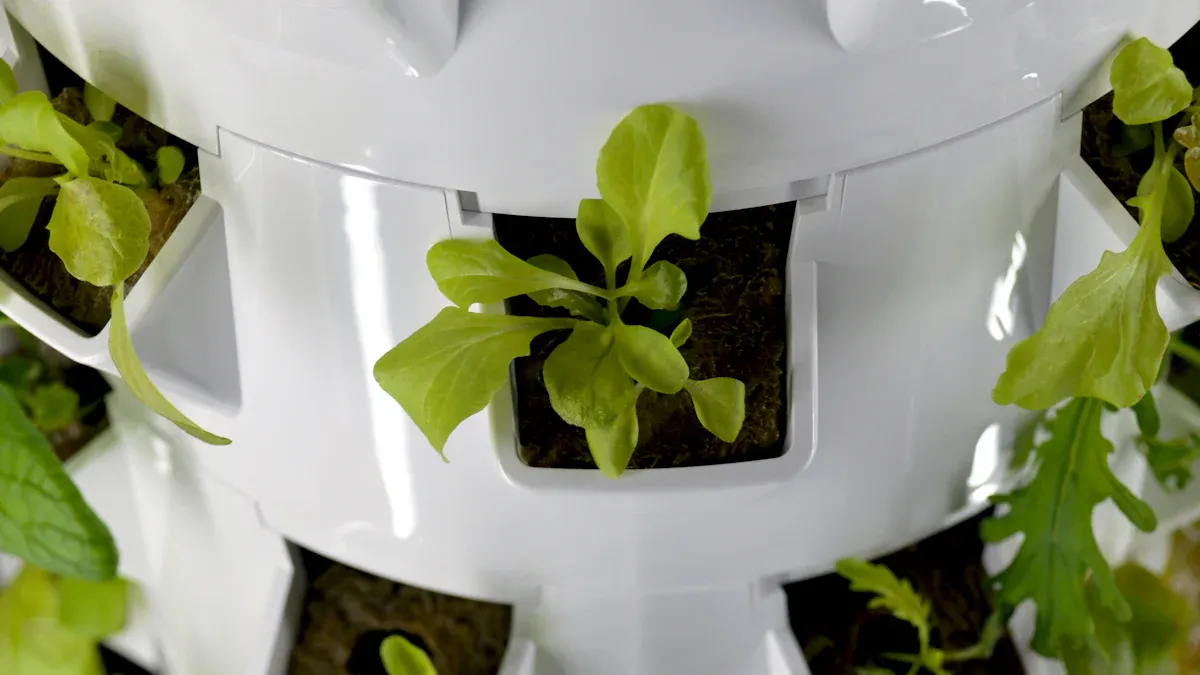 Hangzhou China Agrotime Agri-Tech Co., Ltd.: Leading Hydroponic Planter Manufacturer