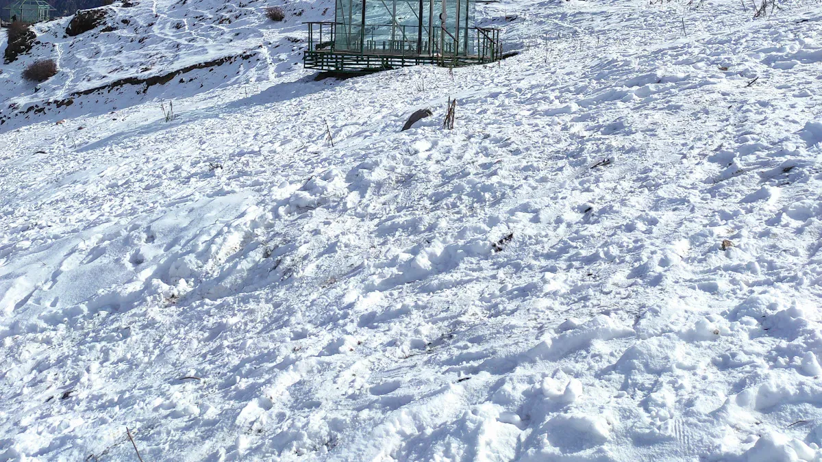 Weather Challenges for Multi-Span Greenhouses