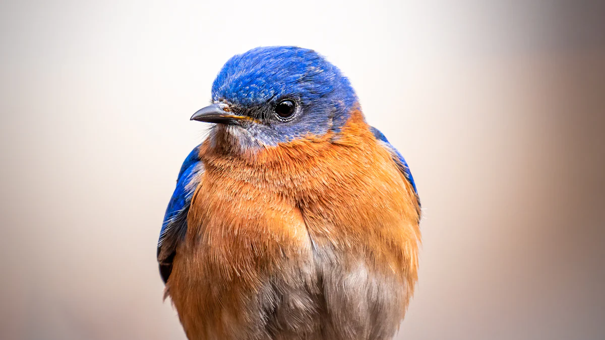 Bird Species That Eat Mealworms for Birds