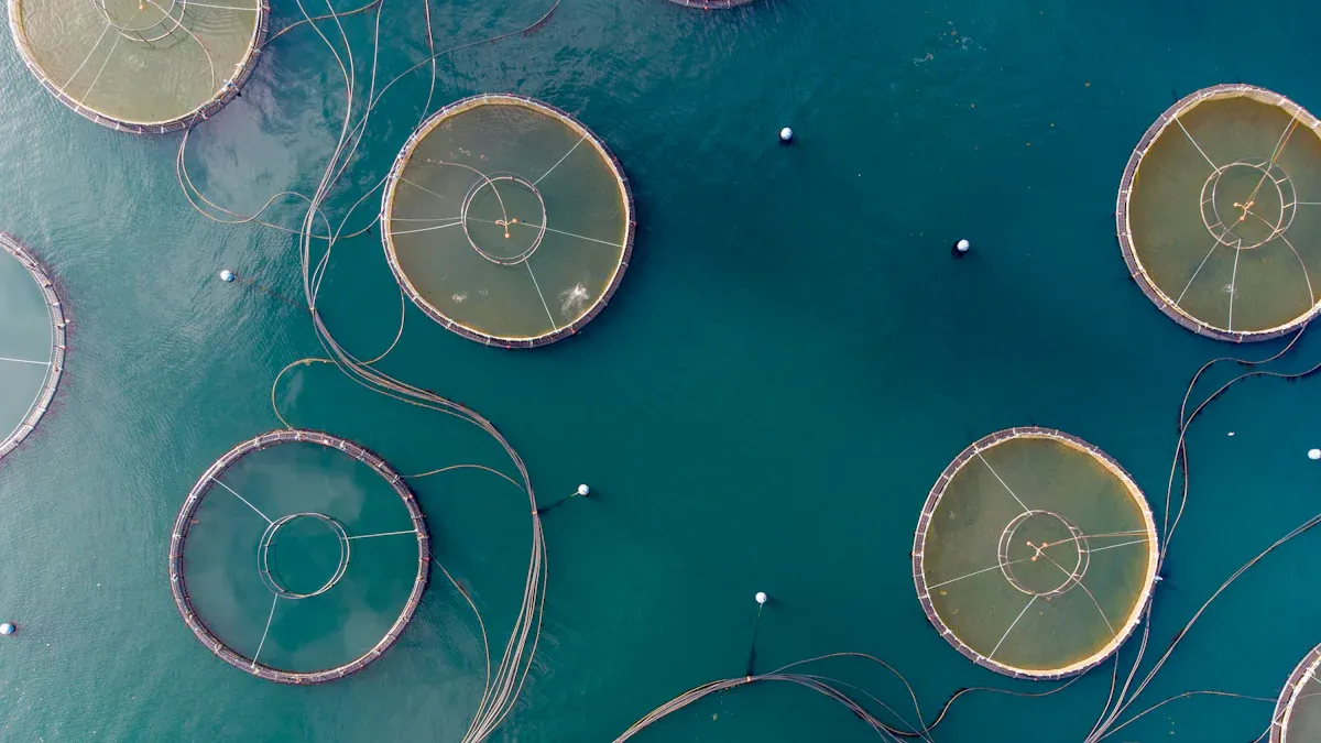 Practical Applications in Aquaculture