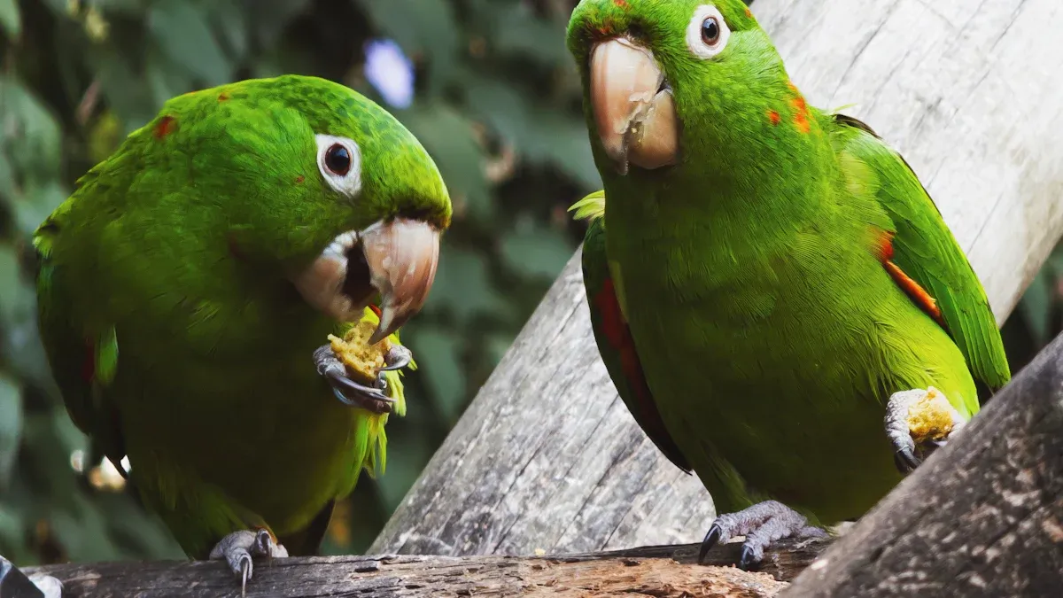 Are Mealworms for Parrots Essential for Active Birds