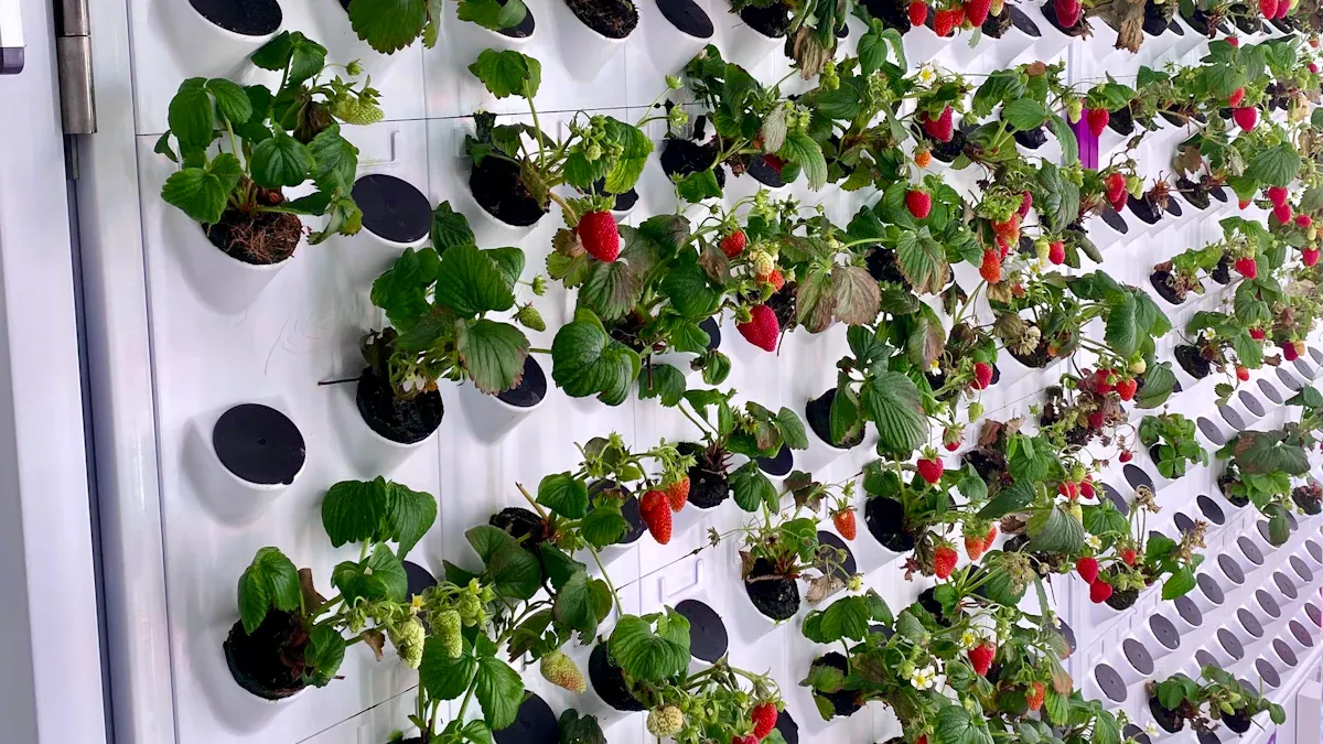 水培潮汐式种植台的材料和工具