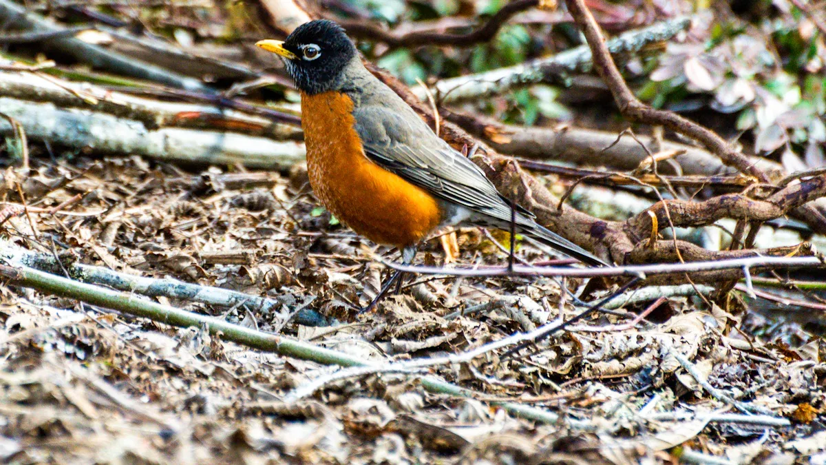 How Dried Worms Support Bird Health and Vitality
