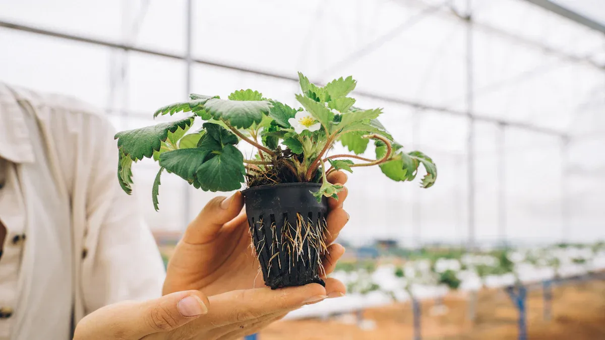 Materials and Tools for Indoor Hydroponics DIY