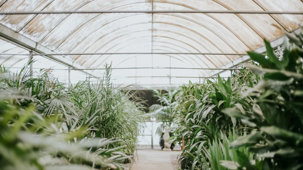 Greenhouse Manufacturer MIILKIIAGROW’s Sustainable Durability