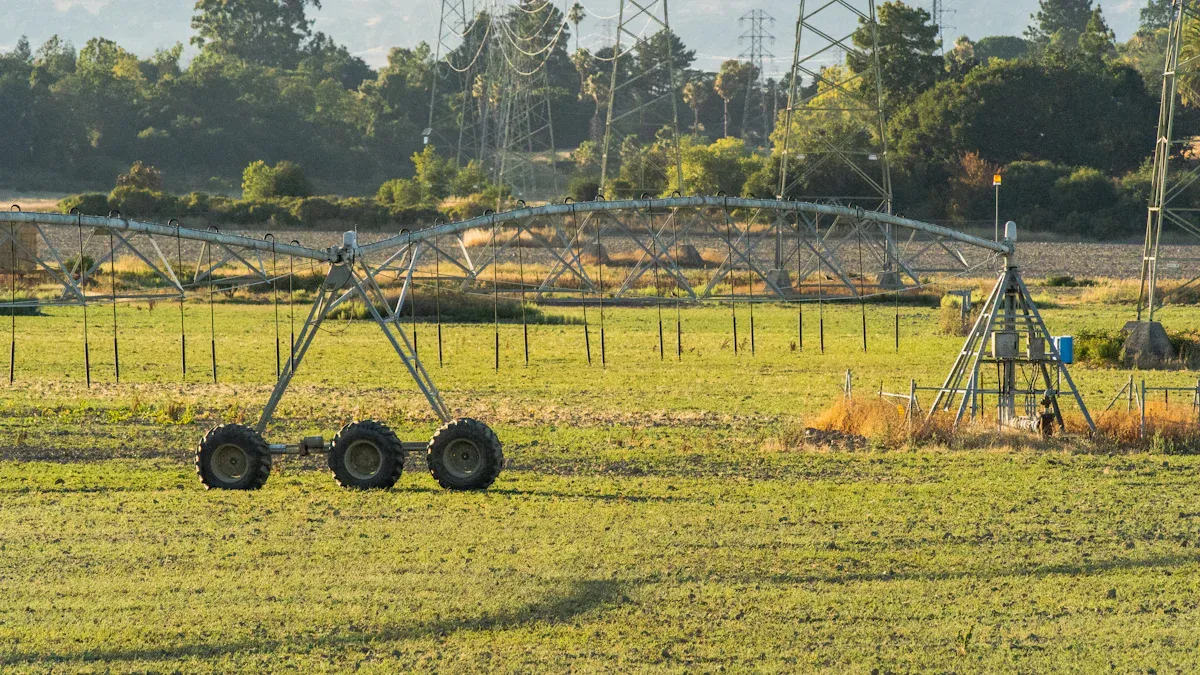 Assessing Garden Size and Layout
