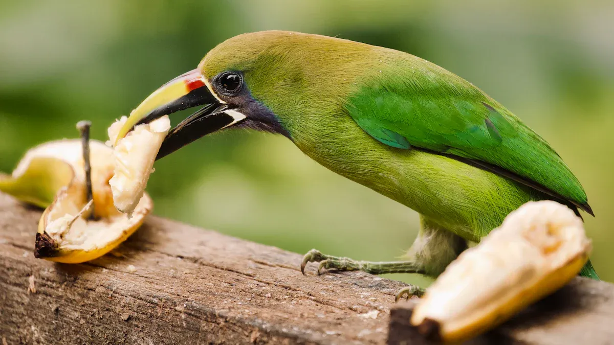Why Mealworms for Parrot Are Essential for Healthy Diet