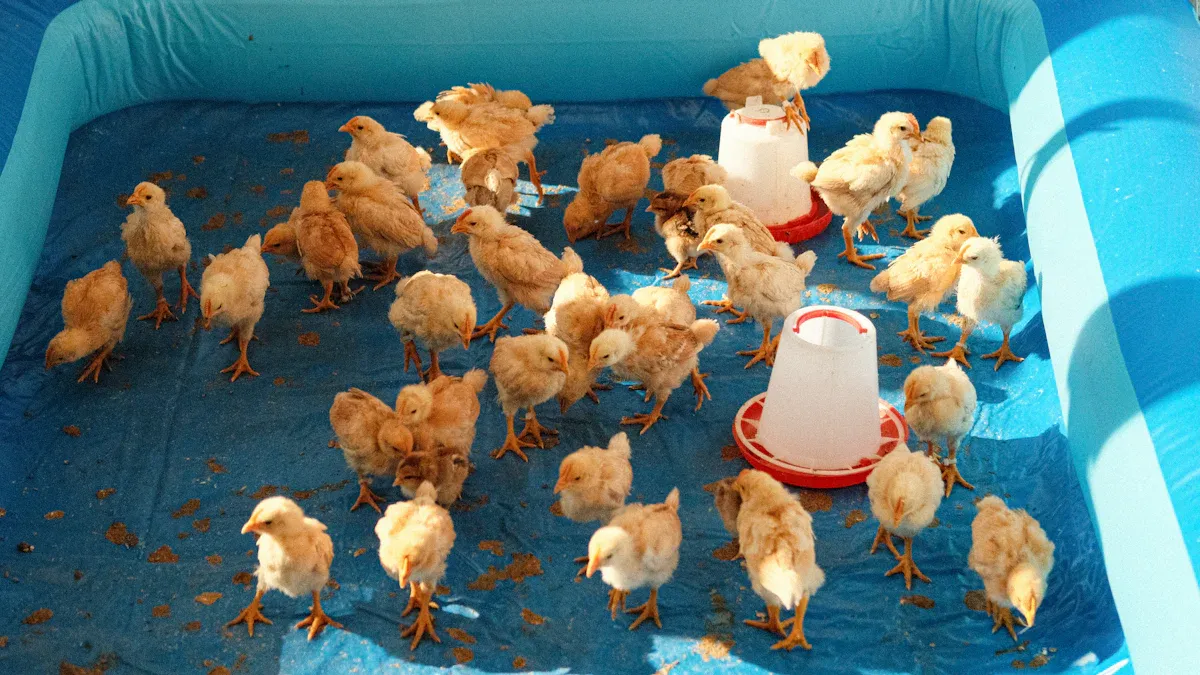 Types of Automatic Livestock Feeder Systems