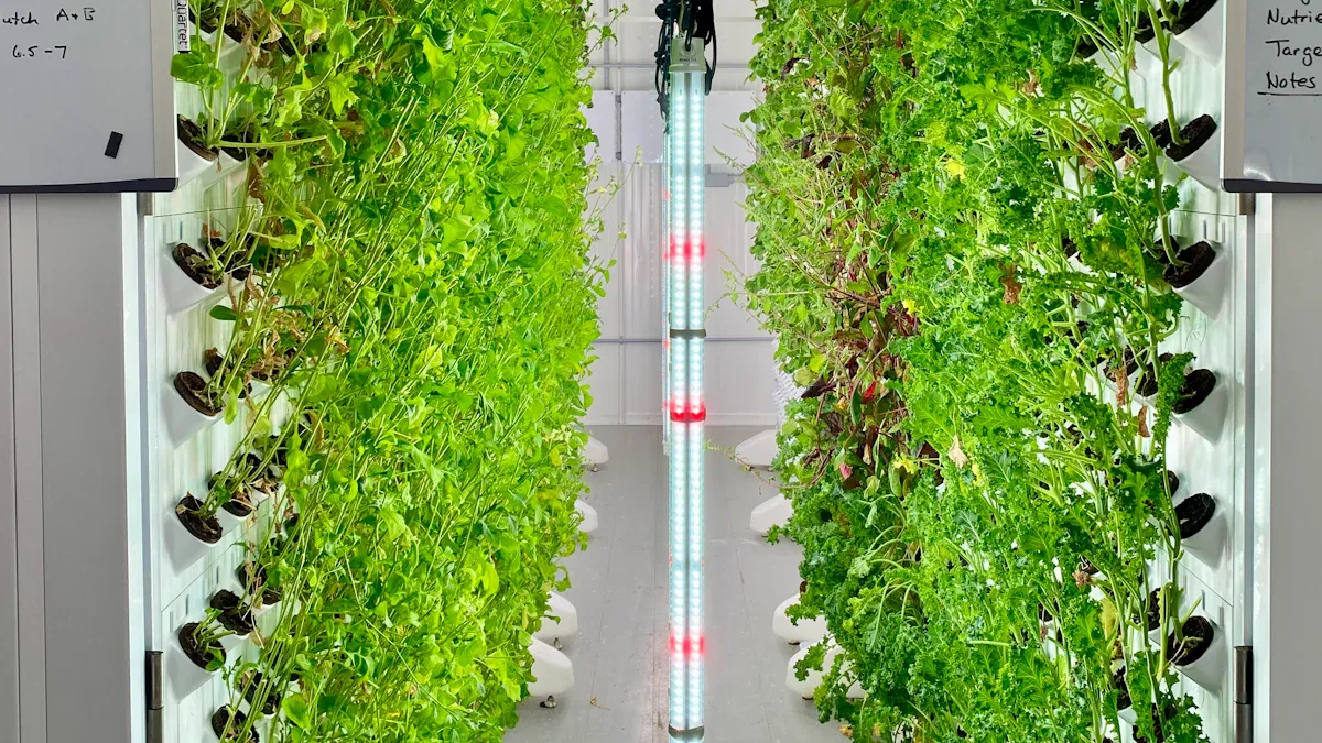 Advantages of Hydroponic Systems