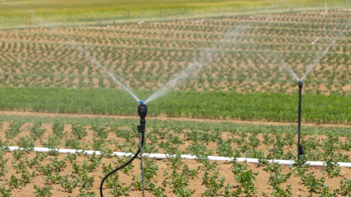 Water Lawn Sprinkler Types and Selection Criteria