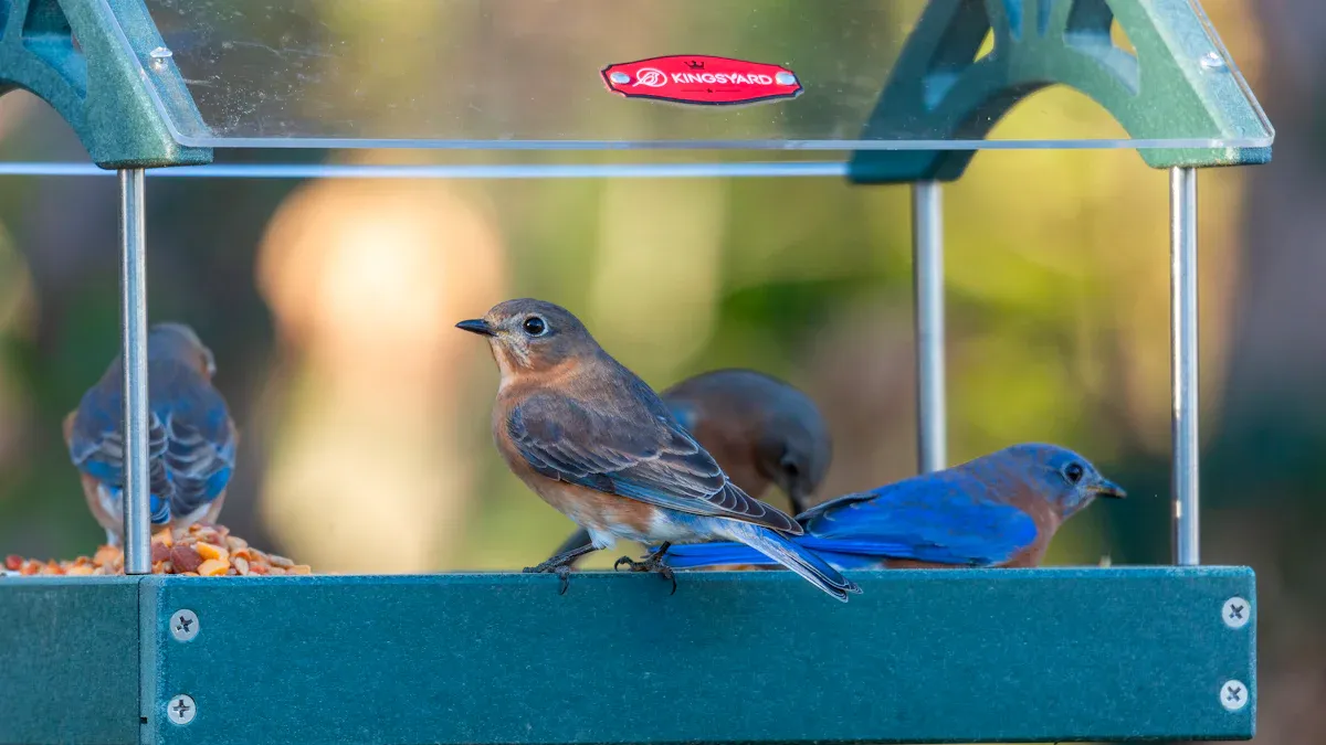 Effective Feeding Methods for Bird Feed Mealworms